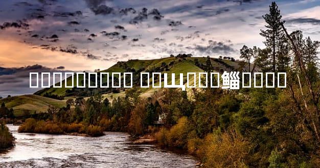 <b>ǰ����׷��ʱ ��Щ���鲻���� </b>